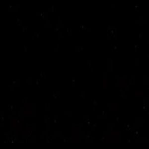 Meet your Posher, Roderick